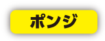 ポンジ説明