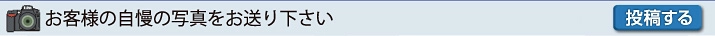 お客様の自慢の写真をお送りください 投稿する