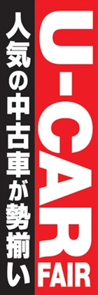 U-CAR FAIR
