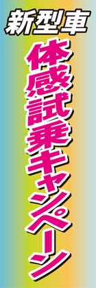 体感試乗