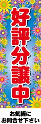 好評分譲中