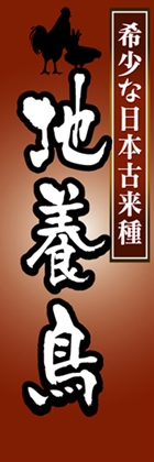 地養鳥