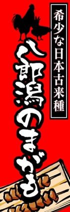 八郎潟のまがも