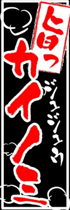 カイノミ