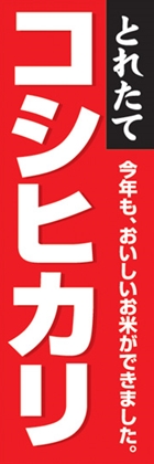コシヒカリ