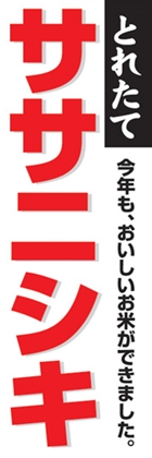 ササニシキ