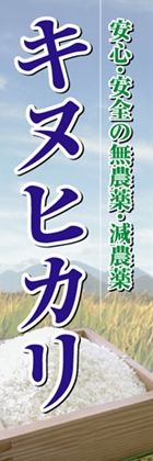 キヌヒカリ