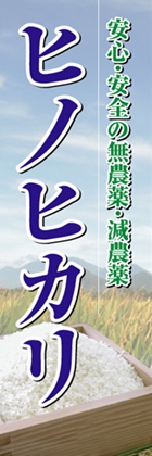 ヒノヒカリ