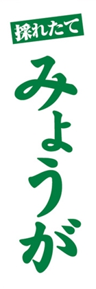 みょうが