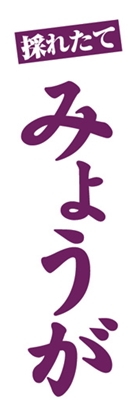 みょうが