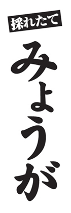 みょうが