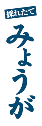 みょうが