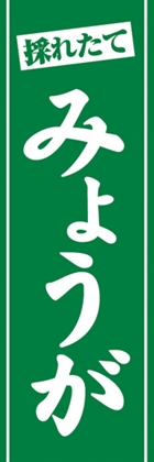 みょうが