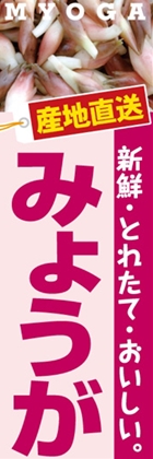 みょうが