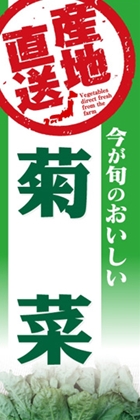 菊菜