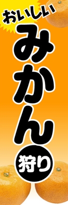 みかん狩り