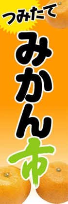 みかん市