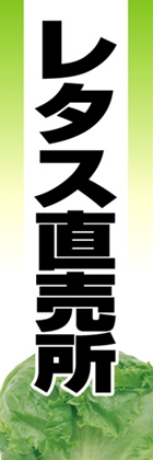 レタス直売所