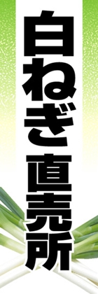 白ねぎ直売所