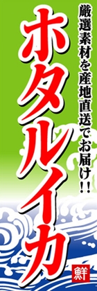ホタルイカ