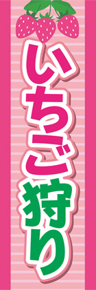 いちご狩り1