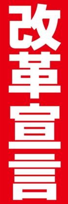 改革宣言