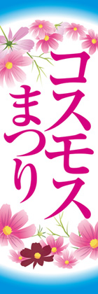 コスモスまつり3
