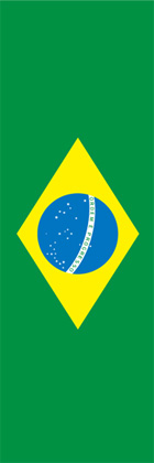 ブラジル2