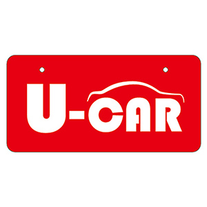 U-car/NP_0019_1
