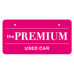 PREMIUM USED CAR/NP_0037_1