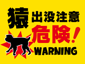 猿出没注意