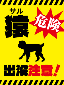 猿出没注意2