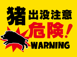 猪出没注意